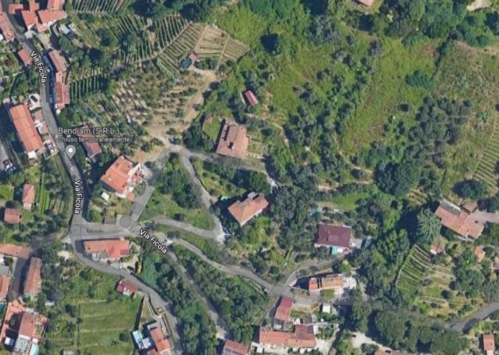 Vendita Terreni Carrara - TERRENO AGRICOLO A FICOLA RIF 4072 Località Ficola