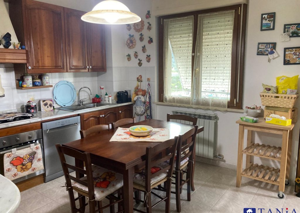 Appartamenti quadrilocale in vendita  via GROTTA 23, Carrara, località Avenza