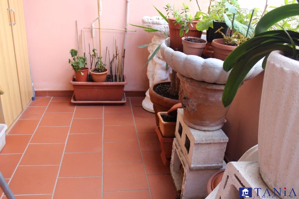 Villa Bifamiliare CARRARA vendita  Carrara  Agenzia Immobiliare Tania