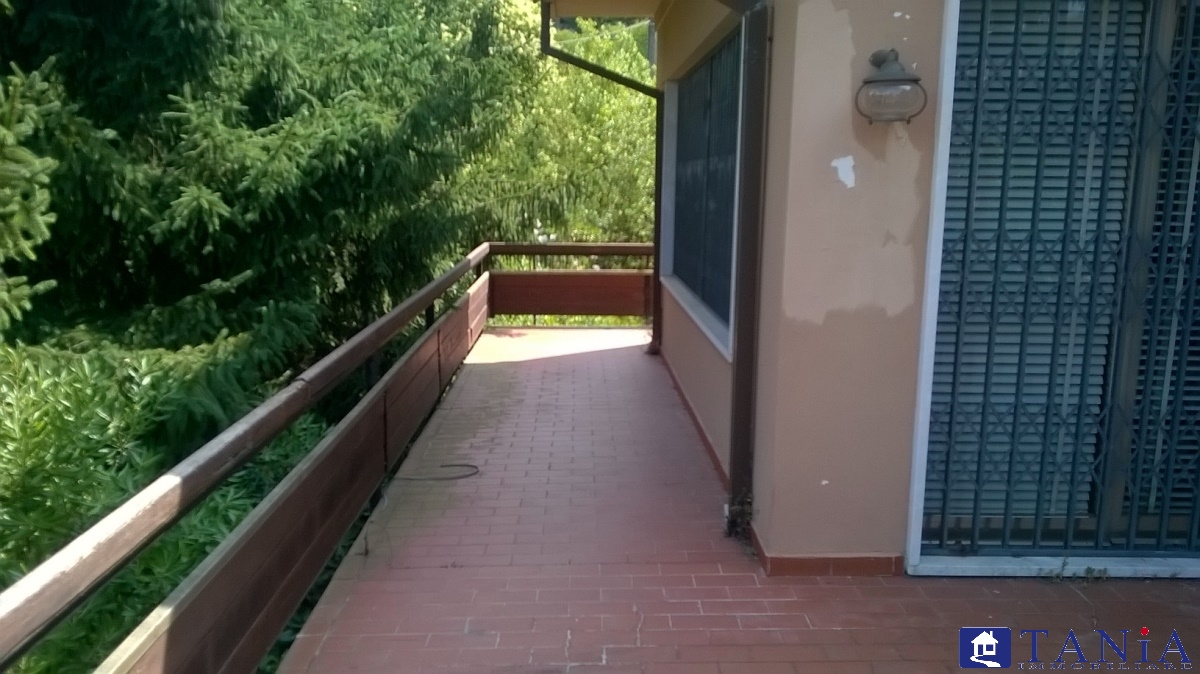 Villa Unifamiliare - Indipendente CARRARA vendita  Carrara  Agenzia Immobiliare Tania