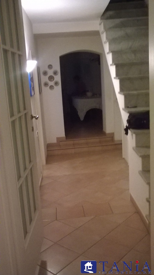 Appartamento CARRARA vendita  Carrara  Agenzia Immobiliare Tania