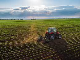 TERRENO AGRICOLO BONASCOLA RIF 3683