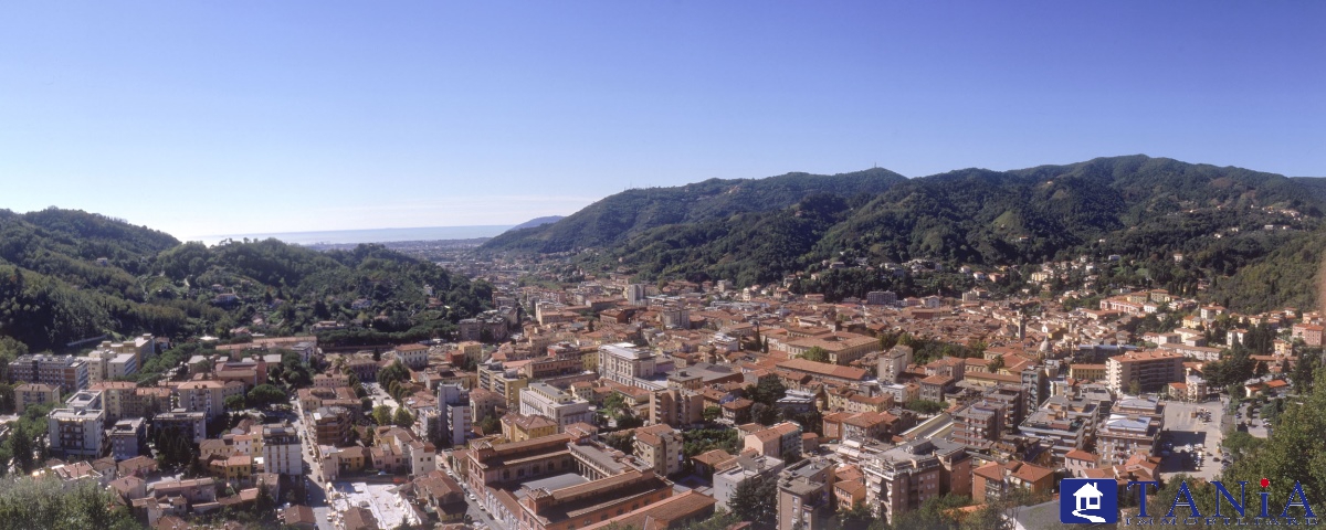  carrara vendita quart: carrara agenzia immobiliare tania