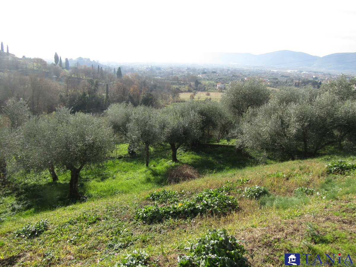 Vendita Casa Indipendente Castelnuovo Magra