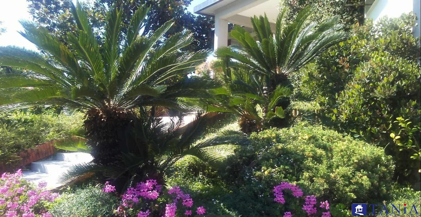 casa indipendente in vendita a Carrara in zona Marina di Carrara