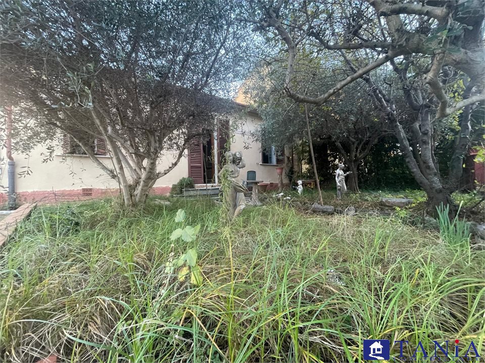 immagine annuncio 1 di 3