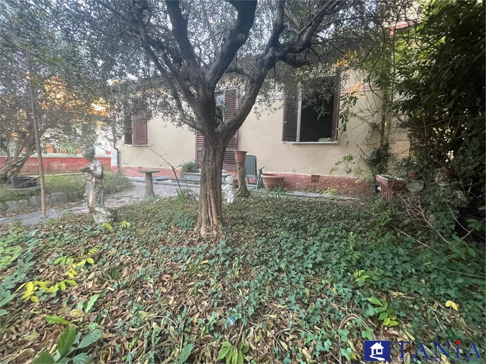 immagine annuncio 2 di 3