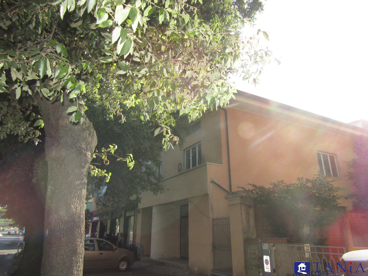 Villa Bifamiliare CARRARA vendita  Avenza  Agenzia Immobiliare Tania