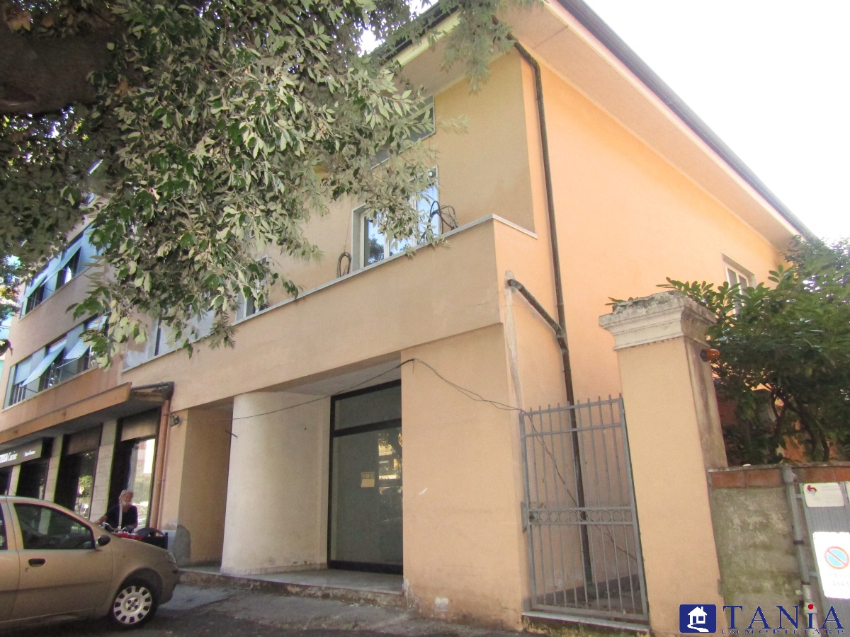 casa semindipendente in vendita a Carrara in zona Centro Città